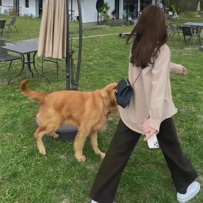 极速求生